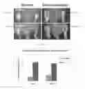 Fig. 06 - Fluorescent imaging agents