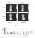 Fig. 13 - Fluorescent imaging agents
