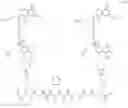 Fig. 29 - Fluorescent imaging agents