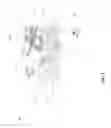 Fig. 02 - Apparatus and methods for making recombinant protein-stabilized monodisperse microbubbles