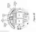 Fig. 07 - Scent dispensation and fluid level sensing