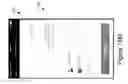 Fig. 41 - Scent dispensation and fluid level sensing