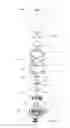 Fig. 04 - AROMATHERAPY NEBULIZING DIFFUSER