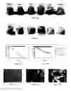 Fig. 16 - Poly(thioketal-urethane) scaffolds and methods of use