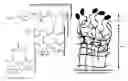 Fig. 01 - Methods and compositions for stabilizing the myocardium