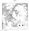 Fig. 06 - Methods and compositions for stabilizing the myocardium