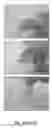 Fig. 04 - COMPOSITIONS AND METHODS FOR REPAIRING BONE
