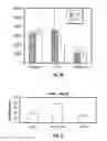 Fig. 07 - Electrospun electroactive polymers for regenerative medicine applications