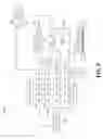 Fig. 11 - Wound care and infusion method and system utilizing a therapeutic agent