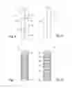 Fig. 03 - Medication injector with capacitive fill level measurement capacity, and contact sensor