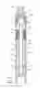 Fig. 03 - Pen-shaped torsion spring driven injection device