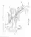 Fig. 08 - System and method for anesthetizing eustachian tube