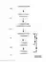 Fig. 03 - Programming adjustment for brain network treatment