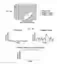 Fig. 12 - NERVE STIMULATION METHODS FOR AVERTING IMMINENT ONSET OR EPISODE OF A DISEASE