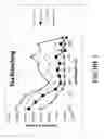 Fig. 03 - METHOD OF WHITENING TEETH AND/OR ALTERING TOOTH STAINS