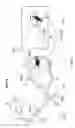 Fig. 06 - Assembly, apparatus, system and method