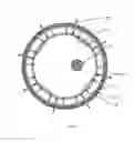 Fig. 06 - Trampolines