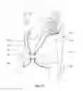 Fig. 13 - GOLF BAG AND FITTING SYSTEMS FOR THE SAME