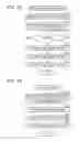 Fig. 19 - ELECTRONIC APPARATUS, SYSTEM, METHOD, PROGRAM, AND RECORDING MEDIUM