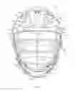 Fig. 03 - LACROSSE HELMET