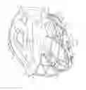 Fig. 04 - LACROSSE HELMET