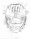 Fig. 05 - LACROSSE HELMET