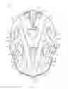 Fig. 06 - LACROSSE HELMET