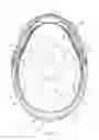 Fig. 07 - LACROSSE HELMET
