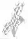 Fig. 12 - LACROSSE HELMET