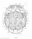 Fig. 20 - LACROSSE HELMET