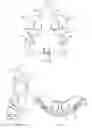 Fig. 24 - LACROSSE HELMET