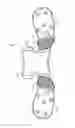 Fig. 32 - LACROSSE HELMET