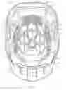 Fig. 38 - LACROSSE HELMET