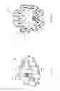 Fig. 40 - LACROSSE HELMET
