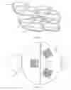 Fig. 42 - LACROSSE HELMET
