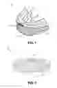 Fig. 02 - MOUTHGUARD