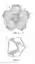 Fig. 03 - Throw toy
