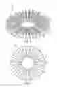Fig. 05 - Throw toy