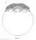 Fig. 08 - Throw toy
