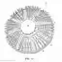 Fig. 11 - Throw toy