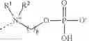 Fig. 09 - Separation material comprising phosphoryl choline derivatives