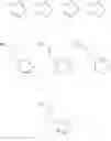 Fig. 62 - Separation material comprising phosphoryl choline derivatives