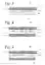 Fig. 03 - Geosynthetic composite for filtration and drainage of fine-grained geomaterials