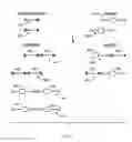 Fig. 09 - Methods of preparing a library of nucleic acid fragments tagged with oligonucleotide bar code sequences