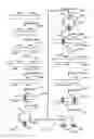 Fig. 22 - Methods of preparing a library of nucleic acid fragments tagged with oligonucleotide bar code sequences