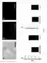 Fig. 05 - Products and methods to isolate mitochondria