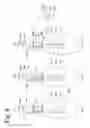 Fig. 07 - DEVICE FOR CONSTANT-VOLUME COLLECTION USING CENTRIFUGATION OR FOR FURTHER STORAGE
