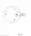 Fig. 09 - Multifunctional shower head