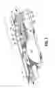 Fig. 02 - Shift and hold conveyor assembly for removal of oversize parcels
