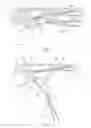 Fig. 02 - LOCKING PLIERS